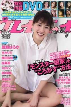 郑氏十七房