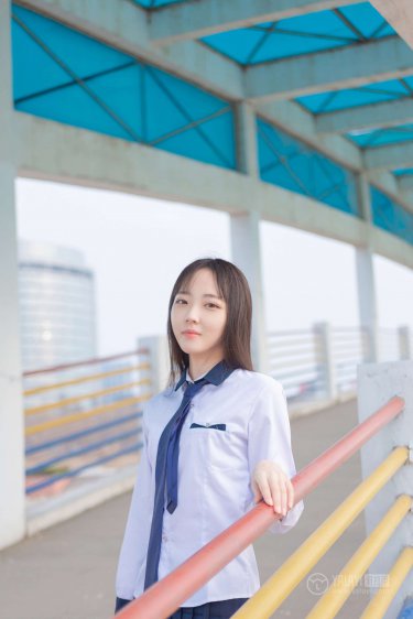 叶凡七个媳妇的小说